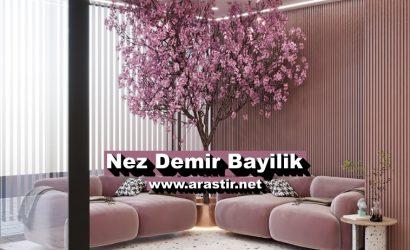 Nez Demir Bayilik (Franchise) Ücreti, Başvurusu ve Şartları