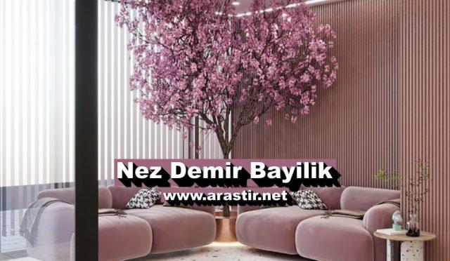 Nez Demir Bayilik (Franchise) Ücreti, Başvurusu ve Şartları