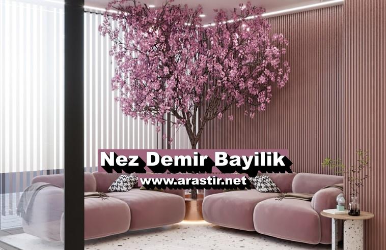 Nez Demir Bayilik (Franchise) Ücreti, Başvurusu ve Şartları 2024