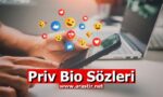 Priv Bio Sözleri (Komik, Kısa) - Biyografi Aşko Kuşko Sözleri