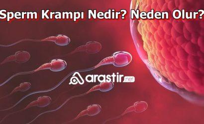 Sperm Krampı Nedir? Neden Olur?