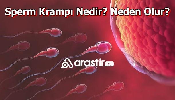 Sperm Krampı Nedir? Neden Olur?
